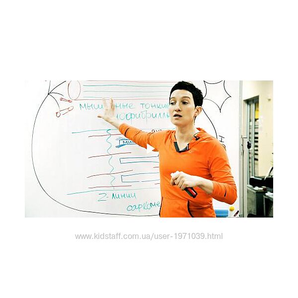 Условия сокращения мышечного волокна Лариса Подзалюхина