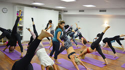 Принципы Движения  Пилатес Polestar Pilates Mat 1-3. Три модуля