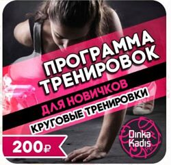 Программа тренировок для новичков. Круговые тренировки dinkakadispp
