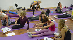  Пилатес Polestar Pilates Mat 3. Модуль 3