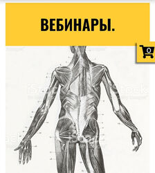 Тазовое дно. Вебинары. Серия 1 Анна Воронина