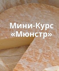 Сыр Мюнстр. Тариф Самостоятельное изучение Ольга Лазарева