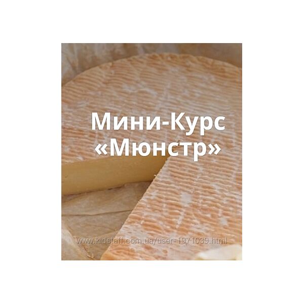 Сыр Мюнстр. Тариф Самостоятельное изучение Ольга Лазарева