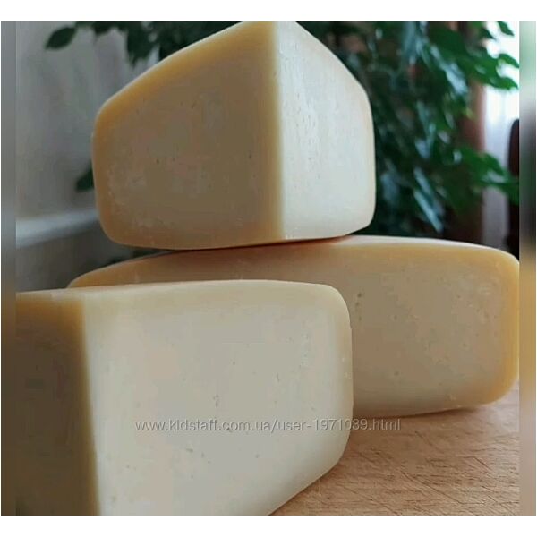 Российско-голландская группа сыров Марина Каманина