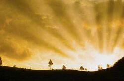 Очищение исторического образа мышления Мэрайя Виндсонг