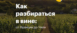 Как разбираться в вине от Франции до Чили Николай Дедин