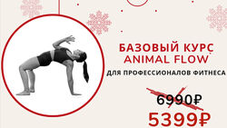  Базовый курс Animal Flow. Без обратной связи Анастасия Канивец