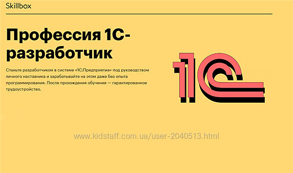 Дмитрий Барабаш, Александр Архипов - Профессия 1C-разработчик