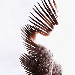 Кемран Ширалиев - Курс по мультиэкспозиции