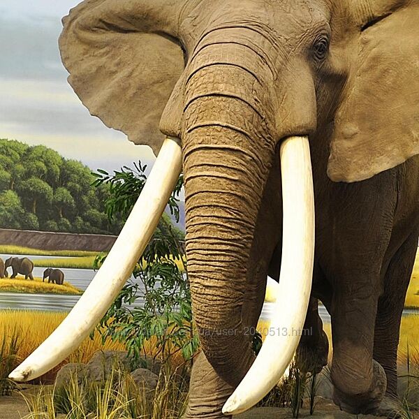 Анна Ласточкина - Митра Варуна. Накшатра Уттарашадха. Глубокий анализ