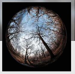 Анна Ласточкина - Митра Варуна - Луна и мозг. Когнитивная астрология