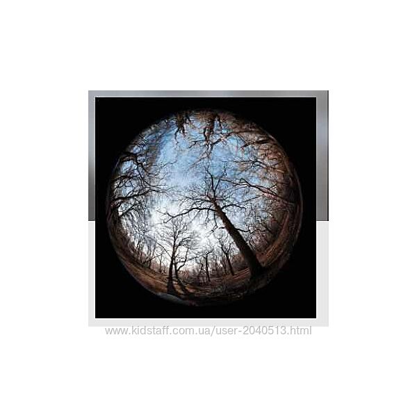 Анна Ласточкина - Митра Варуна - Луна и мозг. Когнитивная астрология