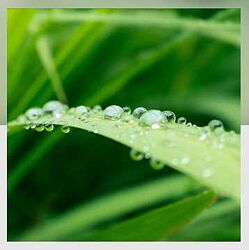 Анна Ласточкина - Митра Варуна - Накшатра Ардра. Глубокий анализ