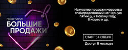Елена Резник - Практикум Большие продажи