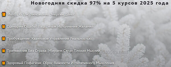 Нико Бауман - 5 курсов 2025 года