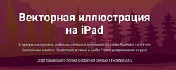 Евгения Лисицына Adobe illustrator на ipad. Векторная иллюстрация на iPad 