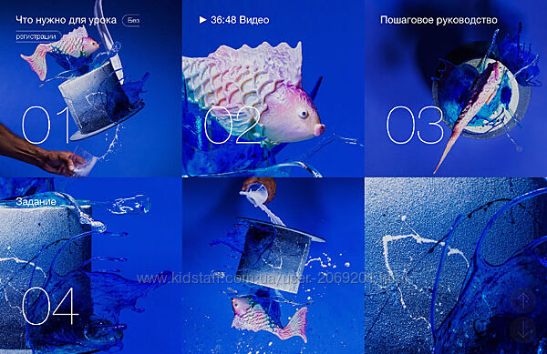 Рони Белова, Андрей Дубовик   Торт-рыбка. Урок о дизайне торта с шоколадно