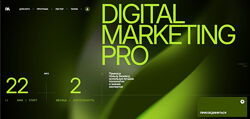 Targetorium Павел Антонов  Digital Marketing Pro март 2025