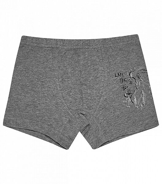 Підліткові труси боксери з принтом LION KING