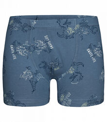 Дитячітрусибоксери для хлопчика з малюнком Динозавр