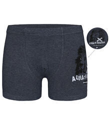 Дитячітрусибоксери для хлопчика з принтом Лев