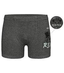 Дитячітрусибоксери для хлопчика з принтом Лев