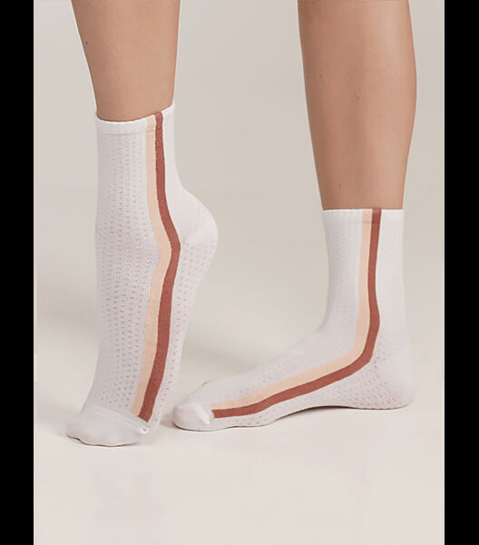 Високібілішкарпетки