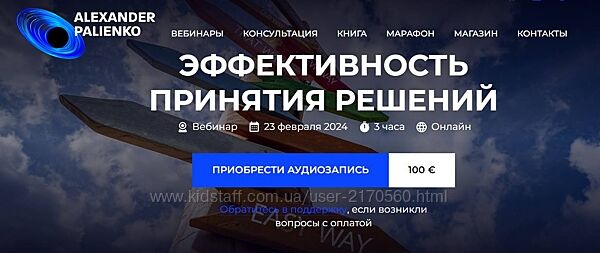 Александр Палиенко Эффективность принятия решений 2024