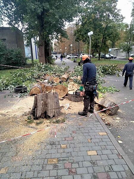 Спил дерева, услуги сад покос травы , расчистка участков вывоз мусора Одесс